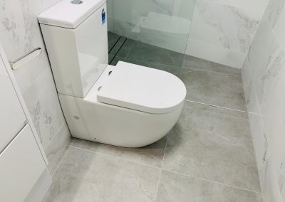 renovated toilet